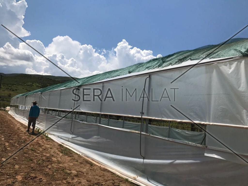 sera firma şirketleri