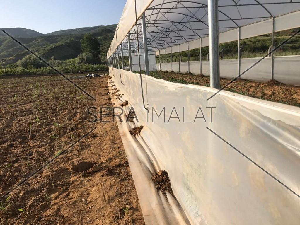 sera firmaları