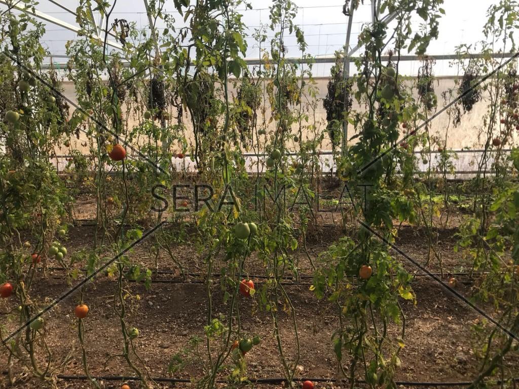 Konya Ovası Projesi - sera imalat 2